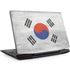 South Korean Flag Distressed Legion Y720 Skin